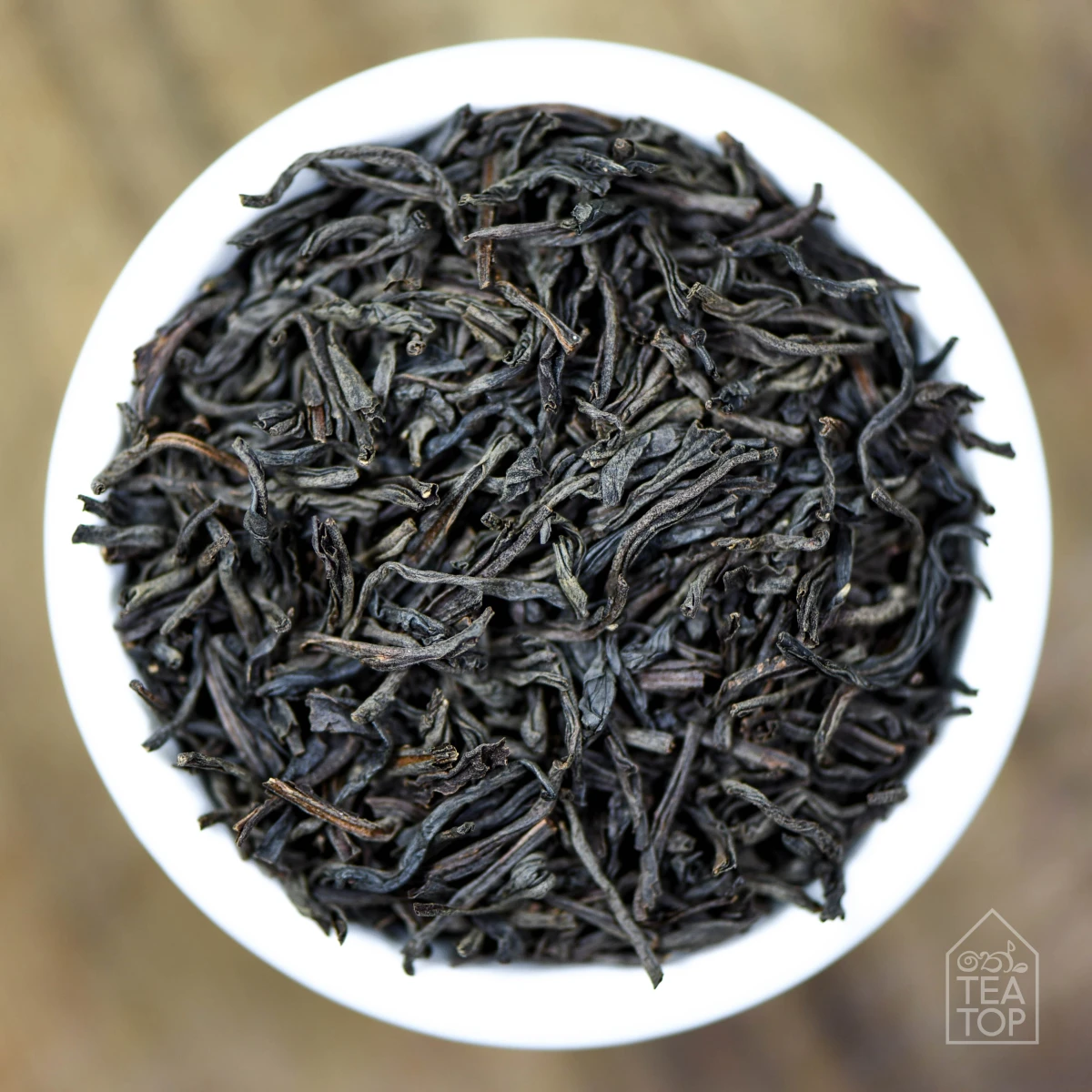 Ocean Breeze  image